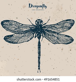 Handgezeichnete Tintenfisch-Vektorgrafik von Libellenfliege in Gravur einzeln auf weißem Hintergrund. Schöne Insektenzeichnung im trendigen Vintage-Stil. Fliegender Libelle mit transparenten Flügeln.