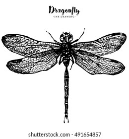 Hand drawn ink vector illustration of dragonfly in engraved style isolated on white background. Beautiful insect line drawing in trendy vintage style. Flying dragonfly with transparent wings.