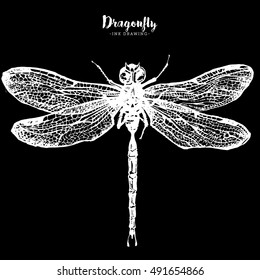 Hand drawn ink vector illustration of dragonfly in engraved style isolated on black background. Beautiful insect line drawing in trendy vintage style. Flying dragonfly with transparent wings.