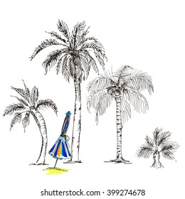 hand drawn ink vector illustrations silhouette of palm trees. Set of palm tree silhouettes on white background.