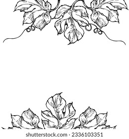 Hand drawn ink vector pumpkin leaf, vine, flower. Sketch illustration art. Thanksgiving, Halloween, harvest, farming. Isolated square border frame. For restaurant menu print, cafe, website invitation