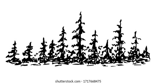 Hand drawn ink vector sketch. Wildlife of the Nordic countries. Simple landscape of coniferous trees, banner, panorama. Nature, forest, travel, tourism.