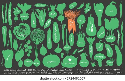 Conjunto de siluetas vegetales de tinta dibujadas a mano. Tomate, pepino, pimiento, calabacín, calabaza, mantequilla, calabaza, maíz, cebolla, rábano, papa, judías verdes, espárragos, alcachofa, repollo, colinabo. Para el fondo de la comida, menú vegetariano, etiquetas, tarjetas de la receta.