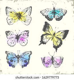 Set Watercolor Butterfly Vintage Summer Isolated Stock Illustration ...