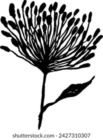 Hand Drawn Ink Wild Flower Silhouette