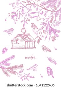 Hand drawn ink winter nature illustration with birds and tree branches. Bullfinch, robin, sparrow, tit, berries, cone, seeds, nestling box in pink and purple. For winter or fall design background.