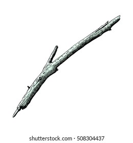 Hand drawn and inked drawing wood twig, isolated on white, natural tree branch, stick, handmade driftwood forest floor pickups. Vector. 