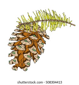 Hand drawn inked imitation pine cone on tree branch with needles on white. Handmade fir cone. Conifer cone on the tree, firs, pines or spruces. Vector.