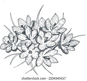 Hand drawn inky botanical illustation. Flower bouquet. Perfect for wedding stationary