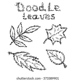 Hand drawn inky leaves set. Scribble line nature vector. Doodle leaves isolated on white. Curved line leaves. Inky elements for design, prints, wallpaper, patterns, etc