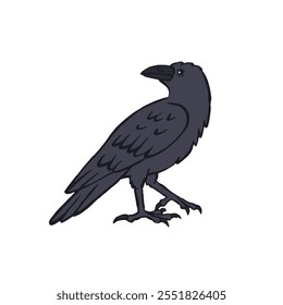 Hand drawn inky sketch style raven or crow isolated on white background. Mystic black bird