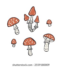 Hand drawn inky sketch style amanita mushrooms set isolated on white background. Poisonous fungy doodles bundle