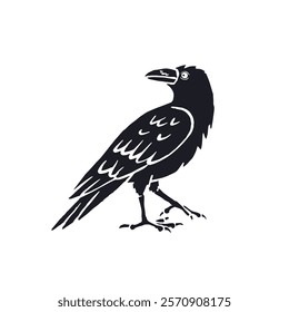 Hand drawn inky sketch style raven or crow isolated on white background. Mystic black and white bird walking