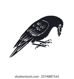 Hand drawn inky sketch style raven or crow isolated on white background. Mystic black and white bird walking