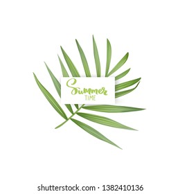 Hand drawn inscription Summer time. Vector realistic palm leaf isolated on a white background. Tropical leaves. Exotic plant. Botanical design element. Handwritten lettering quote.