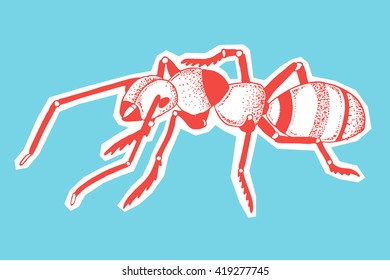 Hand drawn insect - ant. Vector illustration