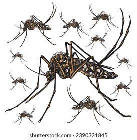 hand drawn insect color vector illustration