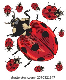 hand drawn insect color vector illustration