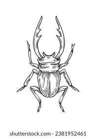 Hand drawn insect concept. Sketch of cute animal with wings. Biology and zoology. Graphic element for website. Symbol and logo. Linear flat vector illustration isolated on white background