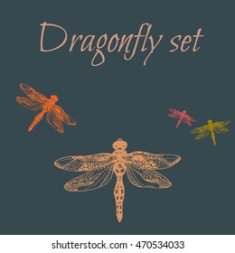 hand drawn insect element