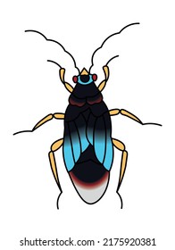 Hand drawn insect illustration, detailed vector art. Isolated bug on white background in a light-colored wooden frame.