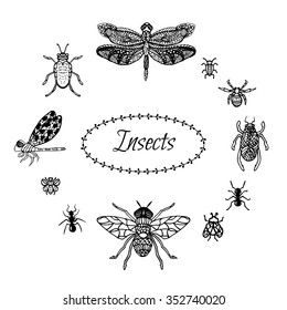 Hand drawn insect set in zentangle style. Black ink dragonfly, bugs, spider and butterflies. Isolated on white stylized hexapods for coloring pages and fabric prints. Sketched doodles.