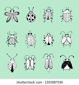 Hand drawn Insect Sketch. Design for handmade decorative brooch.