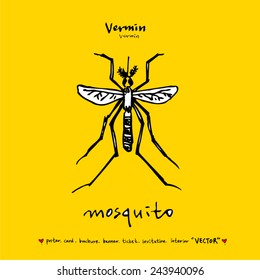 Hand drawn insect - vector illustrations