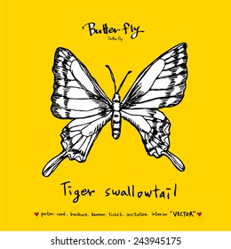 Hand drawn insect - vector illustrations