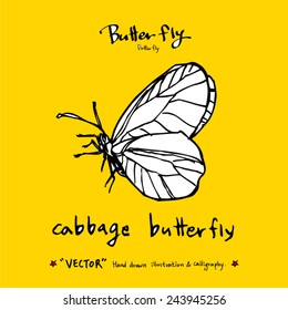 Hand drawn insect - vector illustrations