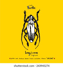Hand drawn insect - vector illustrations