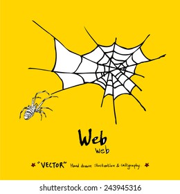 Hand drawn insect - vector illustrations