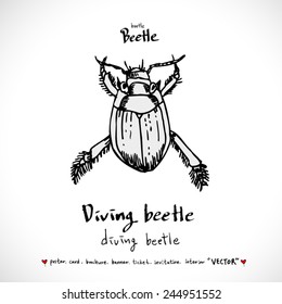 Hand drawn insect - vector illustrations