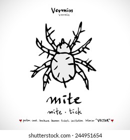 Hand drawn insect - vector illustrations