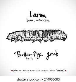 Hand drawn insect - vector illustrations