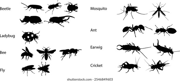 Hand drawn insects animal full body silhouette illustration