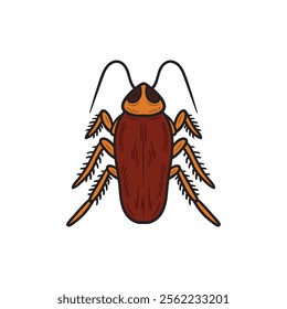 Hand Drawn Insects Illustration Colored - Cockroach