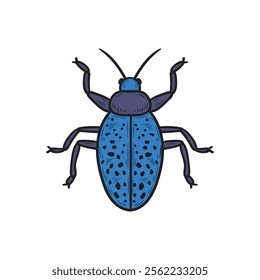 Hand Drawn Insects Illustration Colored - Jewel Beetles