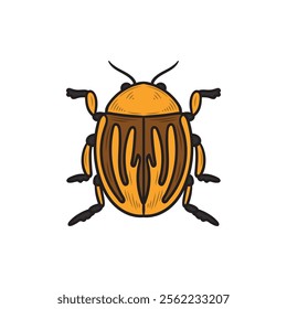 Hand Drawn Insects Illustration Colored - Scarabs Beetles