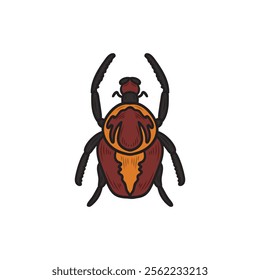 Hand Drawn Insects Illustration Colored - Scarabaeoidea Beetles