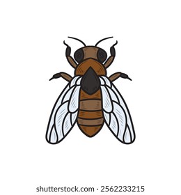 Hand Drawn Insects Illustration Colored - Bee