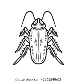 Hand Drawn Insects Illustration Colorless - Cockroach