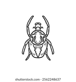 Hand Drawn Insects Illustration Colorless - Scarabaeoidea Beetles