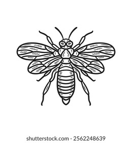 Hand Drawn Insects Illustration Colorless - Honey Bee