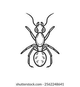 Hand Drawn Insects Illustration Colorless - Ant