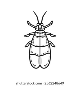 Hand Drawn Insects Illustration Colorless - Carrion Beetles