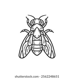 Hand Drawn Insects Illustration Colorless - Bee