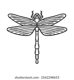 Hand Drawn Insects Illustration Colorless - Dragonfly