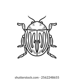 Hand Drawn Insects Illustration Colorless - Scarabs Beetles