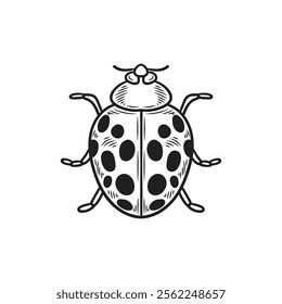 Hand Drawn Insects Illustration Colorless - Ladybug